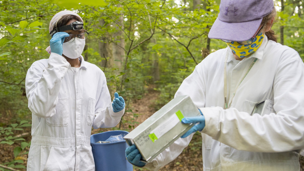 Disease Ecology Lab: Lyme Disease Research