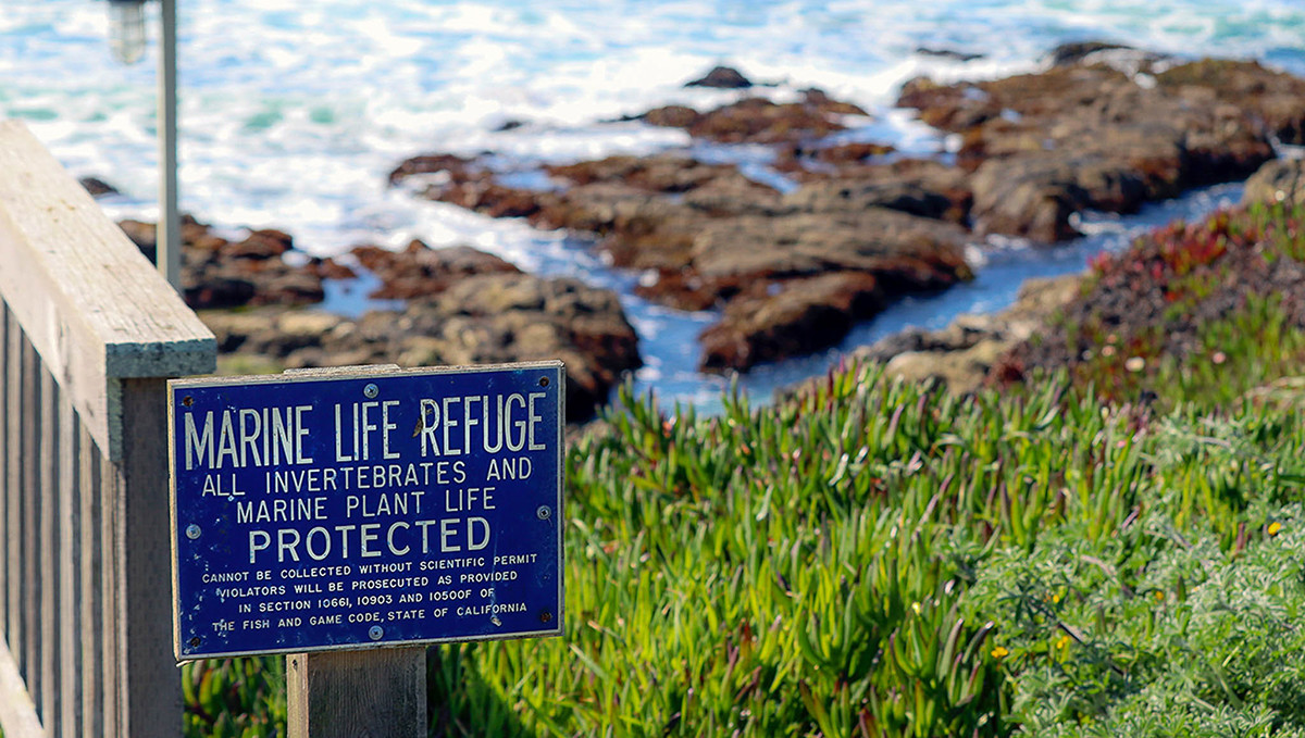 Marine Life Protection Sign