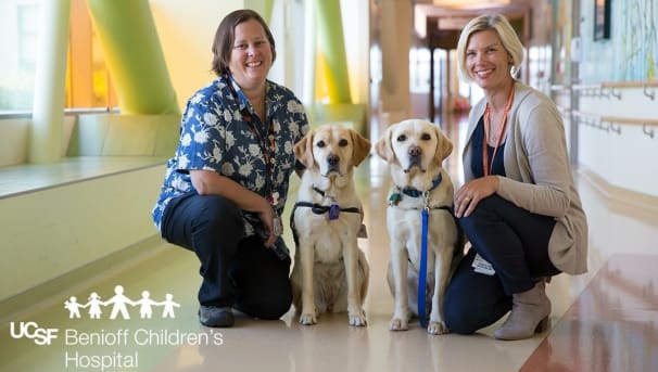 UDAR Gives Back: Help us fund  UCSF Facility Dog Therapy Program Image