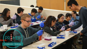 Primer: Molecular Biology for Students