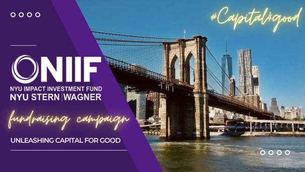 FY23 NYU Impact Investment Fund (NIIF) Image