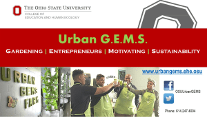 Urban GEMS
