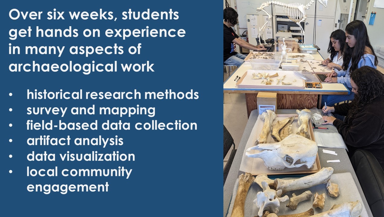 UC Berkeley Training Opportunities for Future Archaeologists