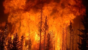 FUEGO:  Early Detection and Management of Wild Fires