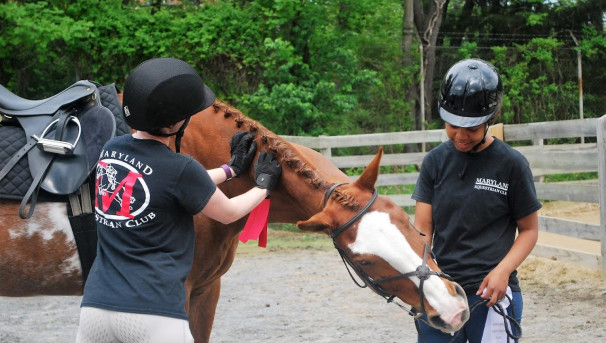 Welcome to our page! We are the Maryland Equestrian Club, and we'd love for you to get to know us.