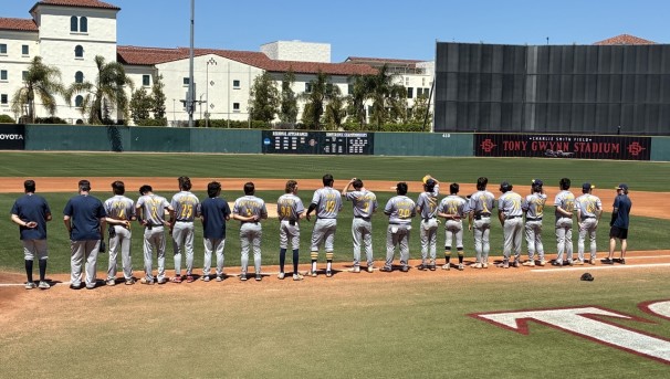 Team photo with players standing in a row on the field with their backs to the camera.