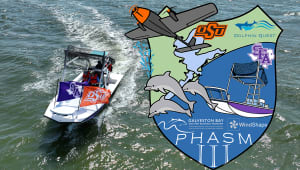 Passive Health Assessment in Sea Mammals