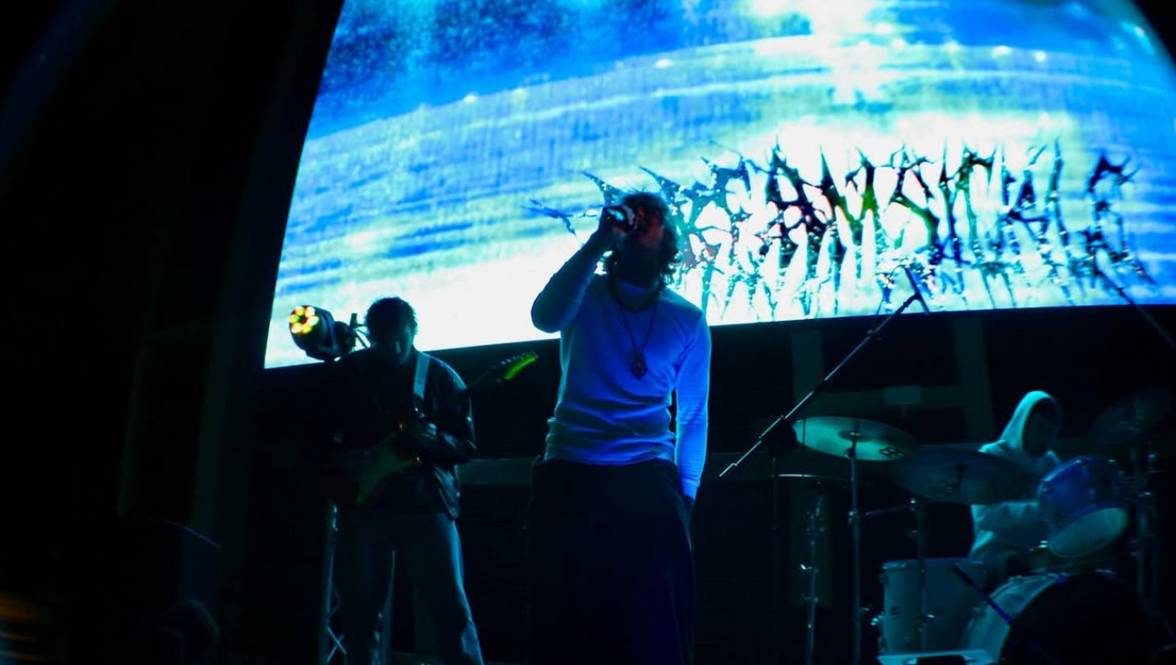 'Dreamsickle' at Stillystock 2025