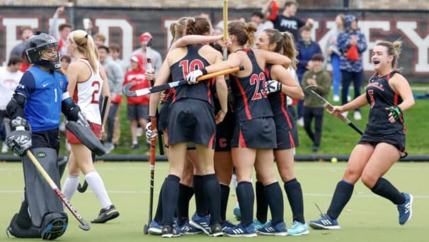 Field Hockey Image