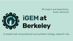 iGEM at Berkeley: An Open Biohacker Space