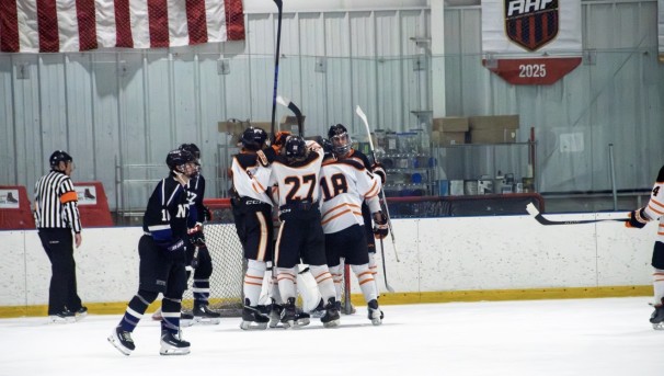 Support Ice Hockey Image