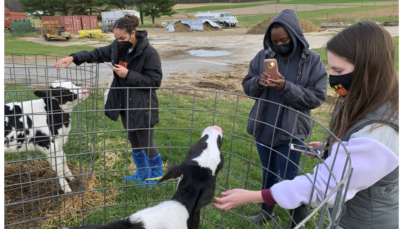 Current Members Visiting the UMD Dairy