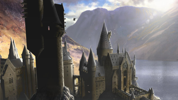 Quidditch Gear Image