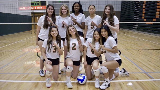 Women's Volleyball Club Image