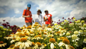 Cornell Botanic Gardens Annual Fund