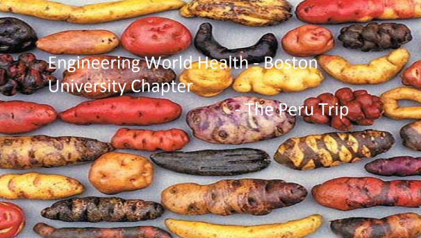 Engineering World Health Peru Trip Image