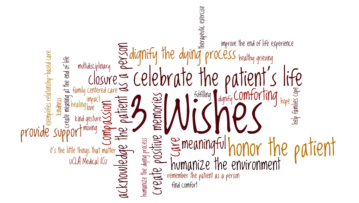 3 Wishes Word Cloud