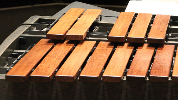 Percussion Studio goes to Florida! Image