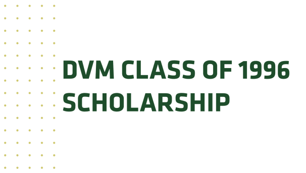 D.V.M. Class of 1996 Scholarship Image