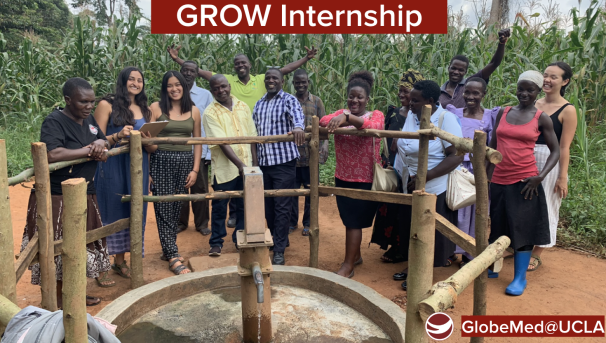 GROW Summer Internship  Image