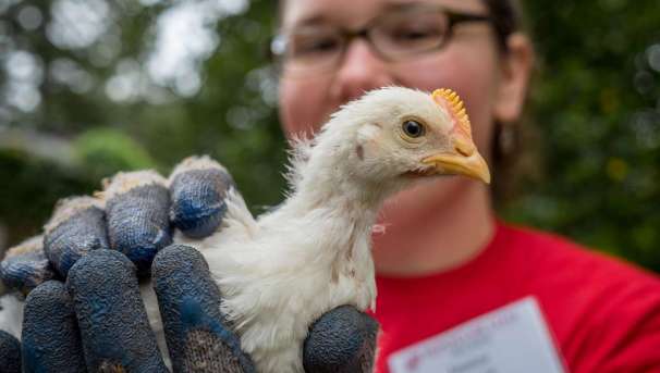 Montclair Community Farms Image