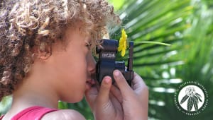 Help build a "Discovery Cart" for the Botanical Garden!