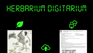 Herbarium Digitarium