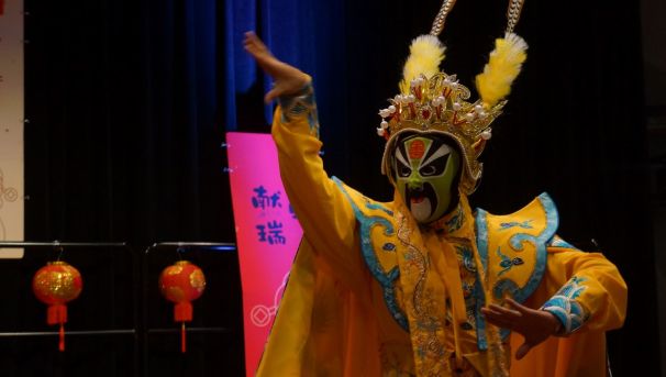 Performer at the 2025 Chinese New Year Celebration