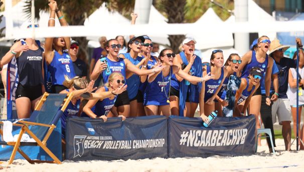 Beach Volleyball Image