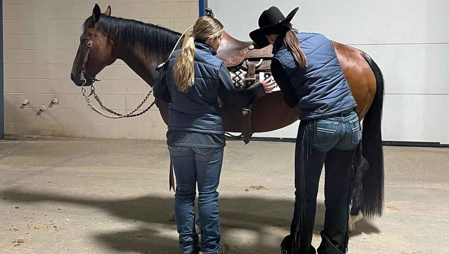 Teammates helping each other prepare to enter the show pen.