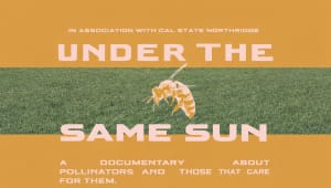 The Insects That Sustain Us