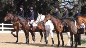 Cal Equestrian Crowdfunding 2021-22
