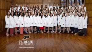 Sponsor a White Coat