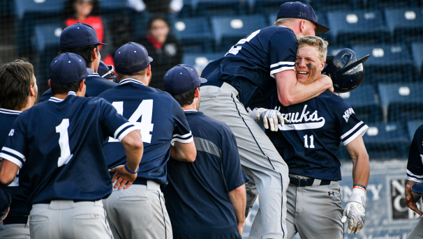 Monmouth Baseball Fan Cutouts Image