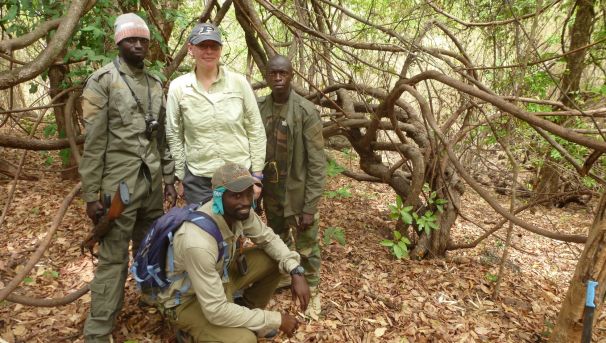 Assirik Chimpanzee Research Image