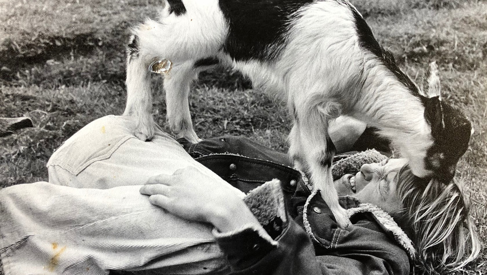 The outback farm used to have some playful goats, unfortunately no longer possible under city code.