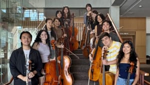 Cello Council 2026