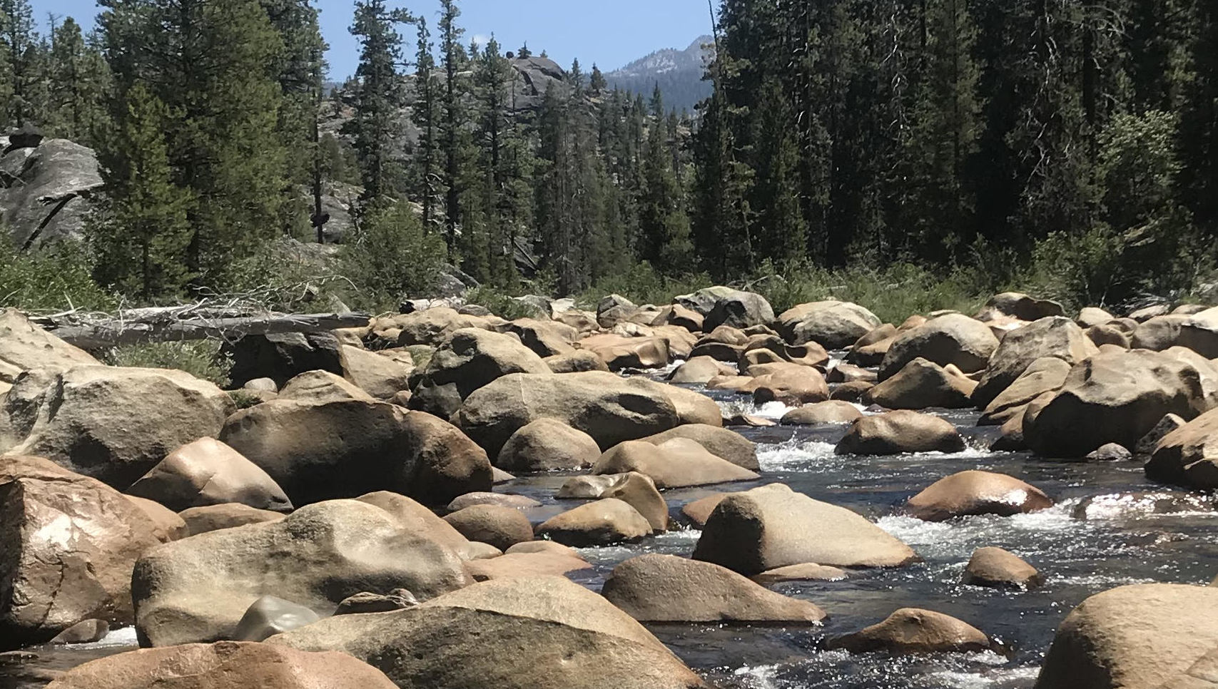 South Fork of San Joaquin River