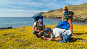 Santa Cruz Island Reserve: Student Support