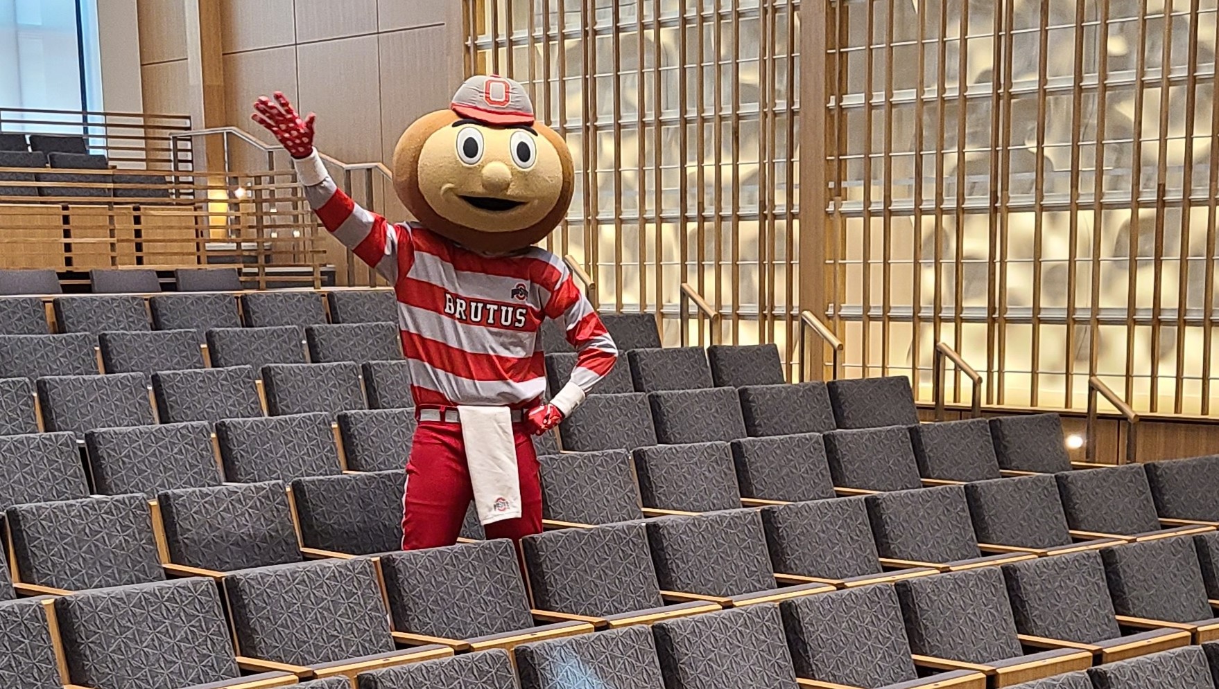 Brutus standing in a row of theater chairs.