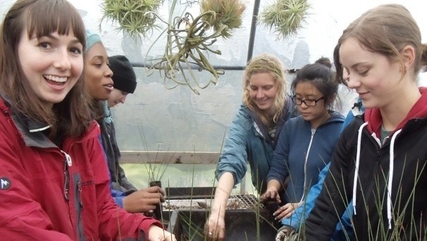 Younger Lagoon Reserve Internship Program Image