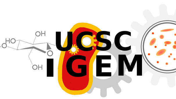 Engineering the Future of Biofuel: UC Santa Cruz iGEM 2015 Image