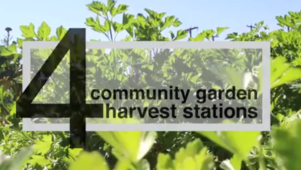 Community Garden Harvest Stations. Image