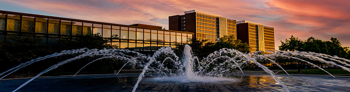 Become an Ambassador Today!