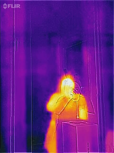 A head, eyes, nose, and perhaps a necktie?