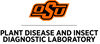 OSU Foundation