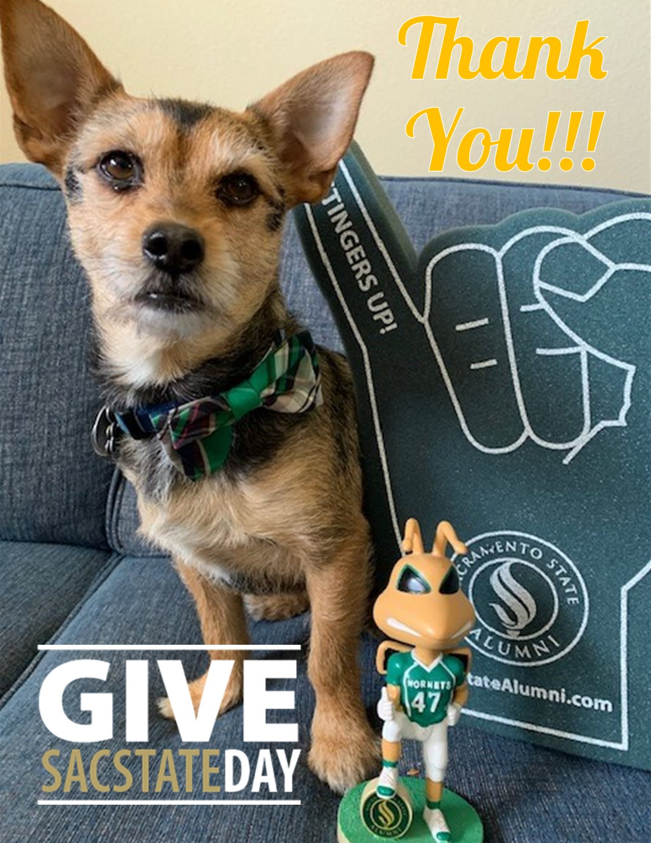 Image for Update: The most successful Give Sac State Day yet, thanks to YOU!