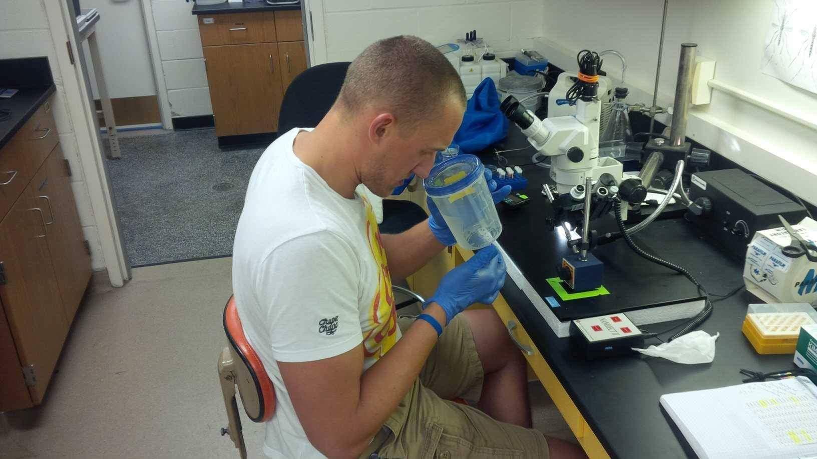 A researcher sits, working on his project