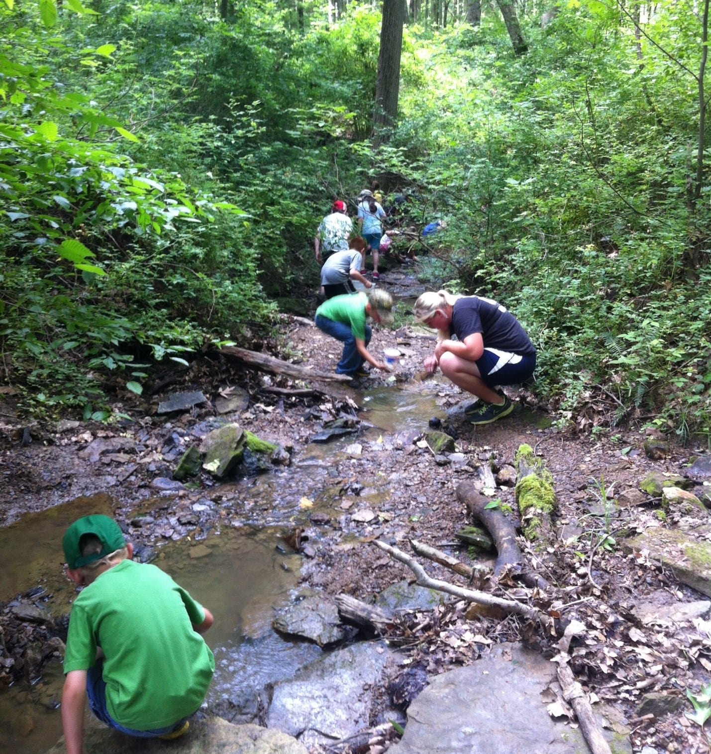 Students in Ohio collecting water from stream