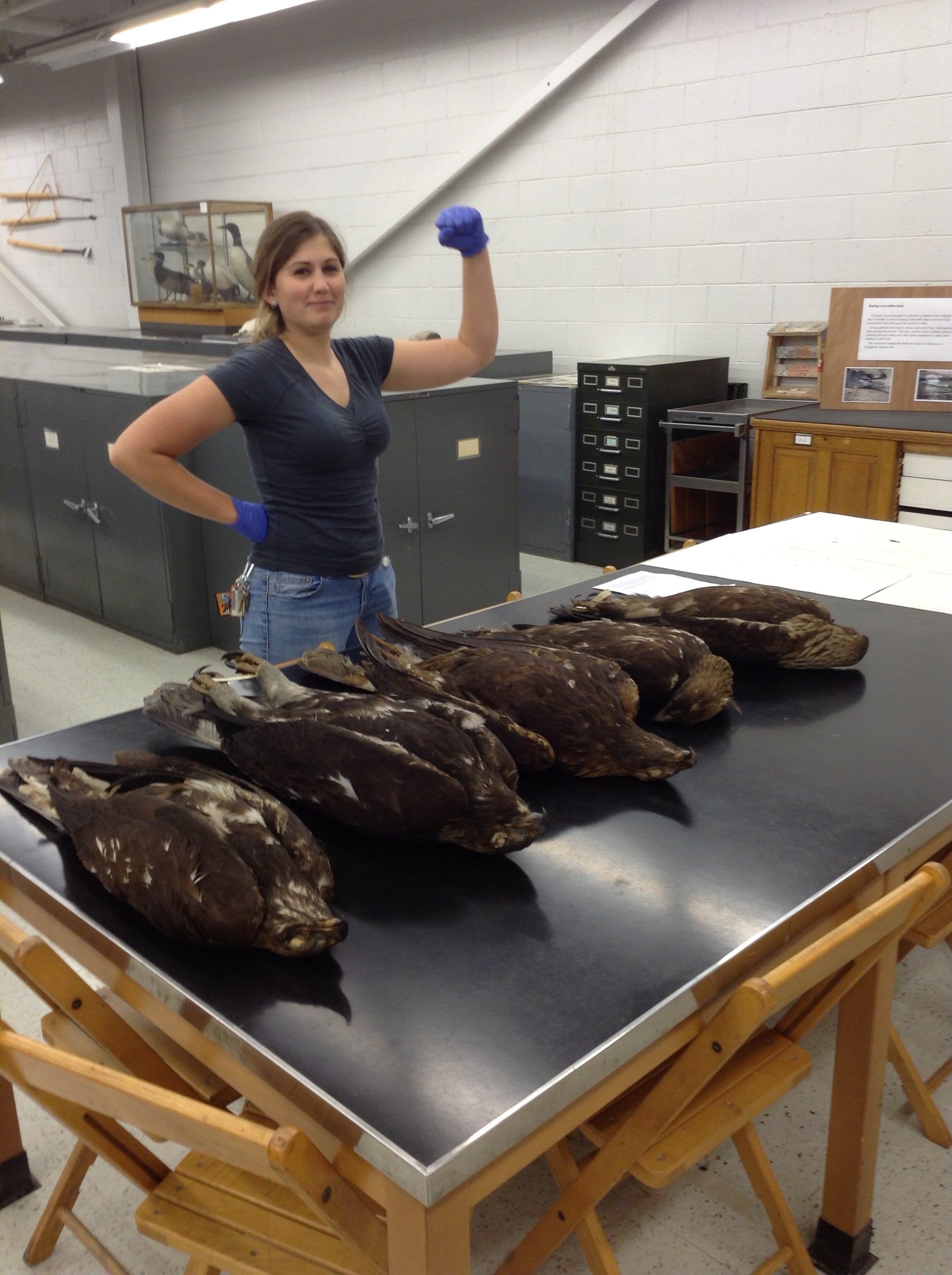 A student standing by a table of 5 dead birds